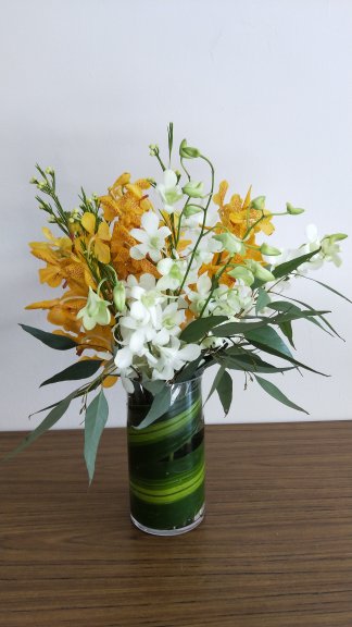 Orchids in vase, suitable as table arrangement or gift